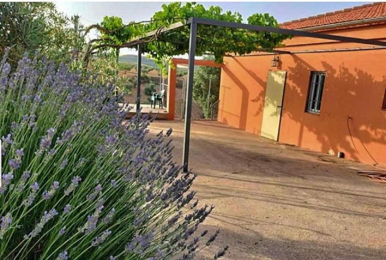 Cortijo Puente Alhama Villa Alhama de Granada Eksteriør bilde